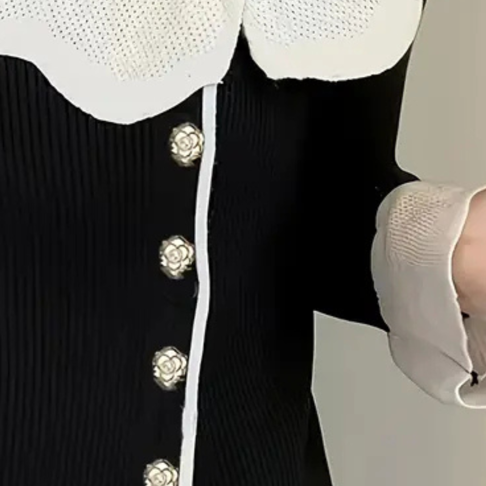 Exclusive CHARNITA women's jumper: the perfect choice for stylish elegance